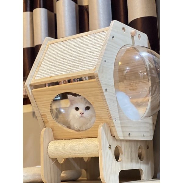 พร้อมส่ง-โดมแมวอวกาศ-ที่นอนแมวอวกาศแบบหลุมใส-ที่นอนอวกาศแมวเหมียวชอบมาก