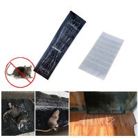 HLIIRVCV0 Super Snake Bugs Non-toxic Big Size Glue Traps Board Mice Mouse Rodent Transparent Clear Sticky Rat
