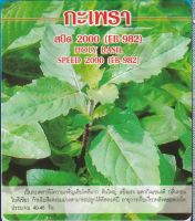 เมล็ดพันธุ์ กะเพรา กะเพราเขียว กะเพราขาว สปีด 2000 - Holy Basil Speed 2000 ตราดอกแตง เมล็ดพันธุ์คุณภาพ "เพื่อนเกษตรกร"