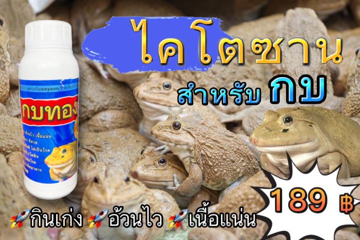 ไคโตซาน-สำหรับเลี้ยงกบ-กบทอง-อ้วนไว-กินเก่ง-เร่งโต-เสริมวิตามินซี