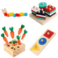 Montessori Toys Baby Wooden Toys For Children Learning Educational Toys For Babies Puzzles Development Games For Kids 2 4 Years