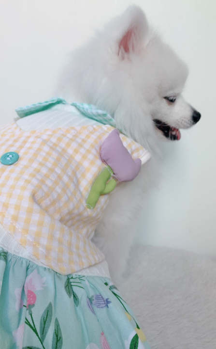 animal-go-round-เสื้อผ้าเครื่องแต่งกาย-สัตว์เลี้ยง-หมา-แมว-สุนัข-รุ่น-tulip-mania-girl