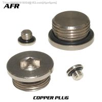 ✻❧✳ M5 copper inner hexagonal plug with sealing ring plug copper plug End Cap For Pneumatic Manifold