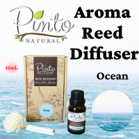 กลิ่นใหม่ PINTONATURAL ก้านไม้หอมปรับอากาศ กลิ่นโอเชียน ขนาด 15ml. Mini Size Aroma Reed Diffuser Ocean หอมฟุ้งเหมือนขวดใหญ่ในราคาประหยัด New Arrival