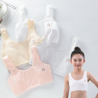 4 PcsLot Girls Underwear Cotton Kids Sports Cotton Seamless Vest Teens Teenage Training Girl Tops Crop ssiere 12-16Y