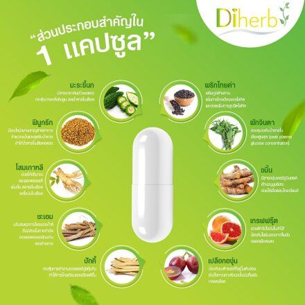 ชุด-2-กล่อง-diherb-อาหารเสริมสุขภาพ-สารสกัดจากธรรมชาติ-1-กล่อง-มี-10-แคปซูล