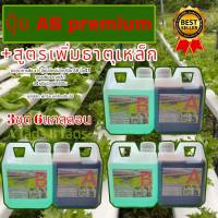 ปุ๋ยไฮโดรโปนิกส์ ปุ๋ยAB ปุ๋ยน้ำ ปุ๋ยผักสลัด สำหรับปลูกผัก Hydroponics ขนาด1000ML New สูตรเข้มข้น 3 ชุด 6แก่ลอน