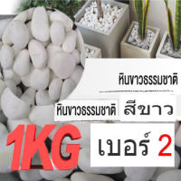 หินแม่น้ำ สีขาว เบอร์ 2 สำหรับตกแต่งตู้ปลา หรือ ประดับต้นไม้ หรืองาน DIY ต่างๆ จำนวน 1 กิโลกรัม