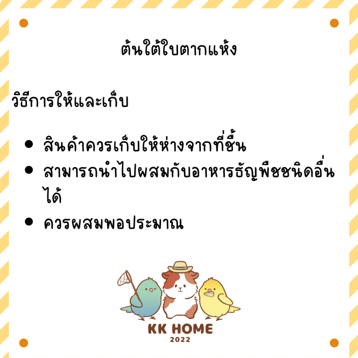 ต้นใต้ใบตากแห้ง-ต้นใต้ใบ-สมุนไพรมากคุณประโยชน์ดีต่อสัตว์เลี้ยง-สำหรับนกทุกชนิด-เช่นนกแก้ว