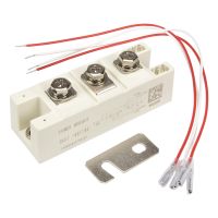 Holiday Discounts SKKT162/16E 160A 1600V General Thyristor Special For ZKG-C1 SCR Voltage Regulator