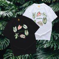 (?พร้อมส่ง?)เสื้อยืด บอนสี caladium ไม้ด่าง ผ้า COTTON 100 %สีสด เนื้อผ้าดี ตรงปกสวยแน่นอนจ้า