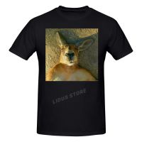 2022 Fashion Leisure Kangaroo Wombat Sleeping Instagram T shirt Streetwear  Graphics Tshirt s Tee Tops| |   - AliExpress