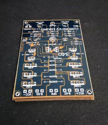 PCB Driver Power Amplifier Mono MCRD V2 Eskimo Type 340 Low Sub