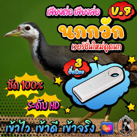 เสียงต่อนกกวัก V.7 เสียงล่อไก่นา V.7 แฟลชไดร์ฟเสียงนกกวัก V.7 ชัด เสียงใส ไม่มีโฆษณาแทรก ไม่มีเสียงรบกวน พร้อมส่ง! มีเก็บเงินปลายทาง!!!