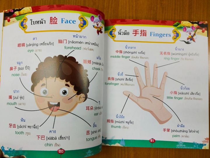 หนังสือเด็ก-สมุดภาพสำหรับหัดอ่าน-ศัพท์จีนกลางพื้นฐาน-3-ภาษา-ไทย-จีน-อังกฤษ