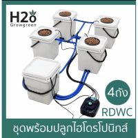 [สินค้าพร้อมจัดส่ง]⭐⭐ถังปลูกไฮโดรโปนิก4+1ถังชุดพร้อมปลูกระบบRDWC[สินค้าใหม่]จัดส่งฟรีมีบริการเก็บเงินปลายทาง⭐⭐