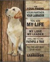 Dog Metal Poster I Am Your Friend I Am Your Labrador Tin Signs Cafe Living Room Bathroom Kitchen Home Art Wall Decor tin sign