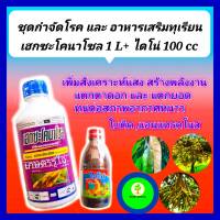 ชุด กำจัดโรค อาหารเสริมทุเรียน เฮกซะโคนาโซล 1 L +ไดโน่ อาหารเสริมพืช ธาตุอาหารรอง100 cc  ใบติด แอนแทรคโนส ใบไหม้ ช่วยสังเคราะห์แสง ใบเขียว