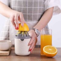 [ABLE] เครื่องคั้นน้ำผลไม้แบบแมนนวล LemonCitrus Squeezer เครื่องคั้นผลไม้เครื่องมืออุปกรณ์บาร์เครื่องคั้นน้ำผลไม้คั้นน้ำผลไม้ Extractor