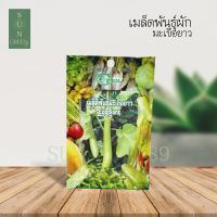 Green Garden เมล็ดพันธุ์มะเขือยาว (Eggplant)