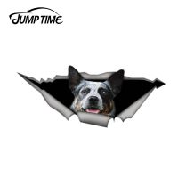 【Direct-sales】 Jump Time สติกเกอร์ Blue Heeler ขนาด13Cm X 4.8Cm,สติ๊กเกอร์ติดรถโลหะฉีกขาดสติกเกอร์รถตลกๆจัดแต่งทรงรถสัตว์หน้าต่าง