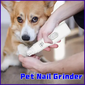Ubersweet® Pet Nail Grooming Tool, Pet Supply with Protective Device Dog  Nail Clippers Durable Pet Nail Clipper with Nail Grinder for Cut Nails | :  Amazon.in: Pet Supplies