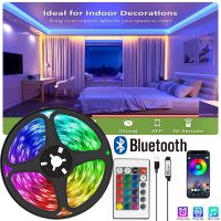 LED Strip Lights with 24 Keys Bluetooth APP Control TV Background Music Sync Tape for Bedroom Decoration SMD5050 Neon Light DC5V