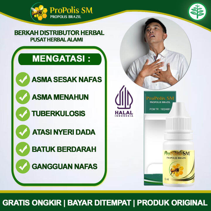 Propolis SM Asli Obat TBC Sesak Nafas, Obat Asma, Obat Sakit Dada ...