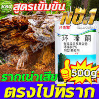 ?ตรงไปที่ราก!!?KBG ยากำจัดต้นไม้ใหญ่ บอกลาการตัดต้นไม้ด้วยตนเอง สารกำจัดกอไผ่ กำจัดวัชพืชรากเน่า ผลติดทนนาน ไม่เป็นอันตรายต่อดิน ยาฆ่าตอไม้ 500g ผงกำจัดต้นไผ่ สูตรเข้มข้น ยากำจัดกอไผ่ กำจัดต้นไม้ กำจัดกอไผ่ ผงกำจัดกอไผ่ สารกำจัดต้นไม้ ยาฆ่าหญ