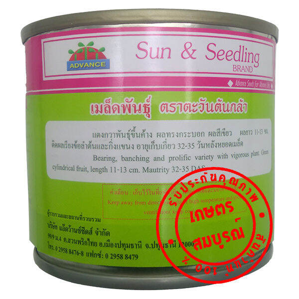 เมล็ดแตงกวา-พันธุ์-แพลทินั่ม-ตะวันต้นกล้า-50-กรัม-ผิวเขียวอ่อน-ผลยาว-11-13-ซม-ตรา