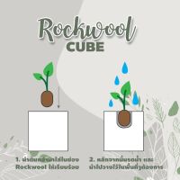 วัสดุปลูก Rockwoll Cube ขนาด 4 นิ้ว และ ขนาด 6 นิ้ว