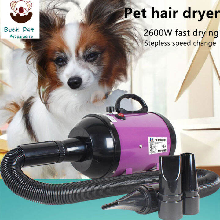 BUCK PET Portable New 2800W Pet Hair Dryer Set Dog / Cat Combing Dryer