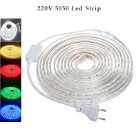 SMD 5050 AC 220V LED Strip Outdoor Waterproof 220V 5050 220 V LED Strip 220V SMD 5050 LED Strip Light 1M 2M 5M 10M 20M 25M 220V