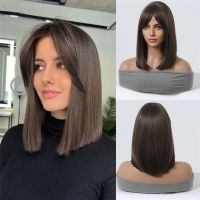 Dark Brown Straight Shoulder Length Synthetic Wigs with Side Parted Bangs for Women Daily Party Cosplay Heat Resistant Fiber Wig  Hair Extensions Pads