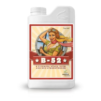 [สินค้าพร้อมจัดส่ง]⭐⭐B-52 ปุ๋ยAdvanced Nutrients ปุ๋ยทำใบ เร่งราก รวมวิตามิน B ช่วยให้สุขภาพต้นไม้แข็งแรงขึ้น ขนาด1L ขวดแท้โรงงาน[สินค้าใหม่]จัดส่งฟรีมีบริการเก็บเงินปลายทาง⭐⭐