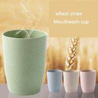 【CW】 Mouthwash Cup Couple Household Round Environmental Protection Toothbrush