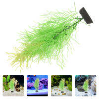 Zecetim พืชฮอร์นเวิร์ตเทียมพิพิธภัณฑ์สัตว์น้ำก้น Hornwort ถังปลาพืชประดับ