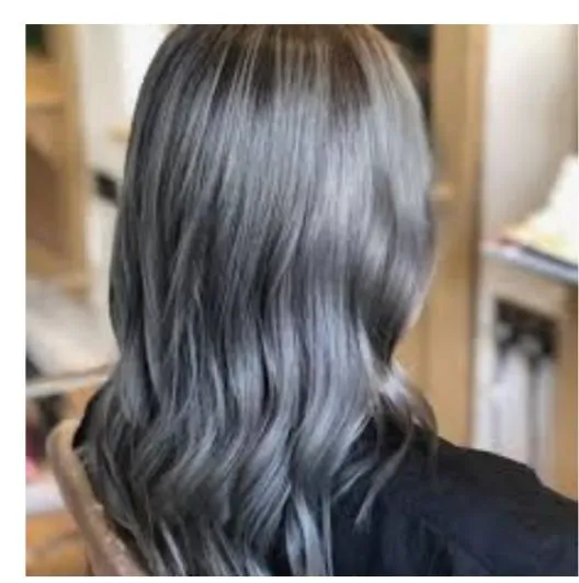 Ash Gray Hair Color + Oxidizing Cream (Fashion Color) | Lazada PH