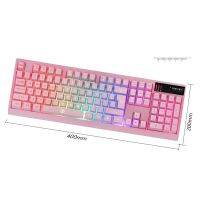 ZJFKSDYX Wireless Gaming Keyboard, 2.4G Connection Supports Rechargeable RGB LED Backlight, Ergonomic Waterproof 104 Keys