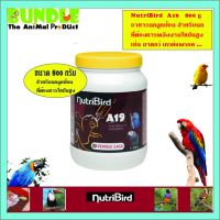 Pro +++ NutriBird A19 800 g. อาหารนกลูกป้อน อาหารลูกป้อน สำหรับลูกนกที่ต้องการพลังงานไขมันสูง ขนาด 800 กรัม ราคาดี อาหาร นก อาหารนกหัวจุก อาหารนกแก้ว อาหารหงส์หยก