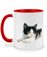 แก้วชง Cute Black and White Cat แมวขาวดำน่ารัก แก้วของชำร่วย แก้วมัค twotone coffee mug