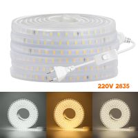 220V LED Strip Waterproof 2835 120Leds/m High Bright LED Strip Light with Switch White Warm White Natural White Ribbon Rope Tape