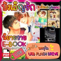 [Yaoi] [E-Book] นิยายวาย บังเอิญรัก 1-2, เล่มพิเศษ , Breath ลมหายใจปรารถนา (คู่พี่ชายติณ) หน้าเดี่ยว ปกครบ บรรจุใน USB FLASH DRIVE ไฟล์ PDF (Ebook)