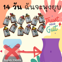 (Set 14 ขวด) Dracula ชาดูดพิษ Raw Kombucha organic คอมบูชา คอมบูชะ ชาหมัก ดีท็อกซ์ ท้องผูก มีโพรไบโอติกสูง ชาผู่เอ๋อ สารต้านอนุมูลอิสระ detox probiotic antioxidant