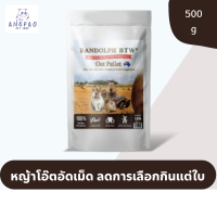 หญ้าโอ๊ตอัดเม็ด อาหารกระต่าย Randolph Oat Pellet 1 Kg. หญ้าโอ๊ต