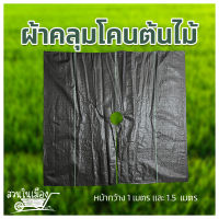 พลาสติกคลุมโคนต้นไม้