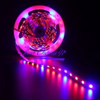 5050 SMD LED Strip Plant Grow Light Hydroponic Aquarium Lamp Red Blue 3:1 DC 12V non waterproof IP20