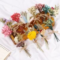 【cw】 Dried Bouquets Colorful Gypsophila Reed Bouquet Stems Real Ornament Decoration ！