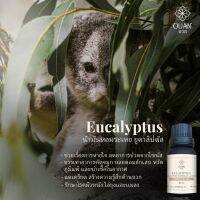 Pure Essential Oil น้ำมันหอมระเหย 100% ยูคาลิปตัว Eucalyptus | 15 ml. พร้อมจุกหยดในตัว | อวล