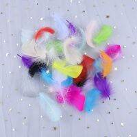 Feathers 4-8cm Small Floating Feather for Wedding Jewelry Making Decoration Plumes 100pcs